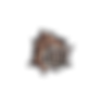 サザエ.png