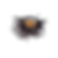 ウニ.png